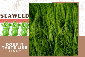 Why Does Seaweed Taste Like Fish? - (Little Know Facts!)