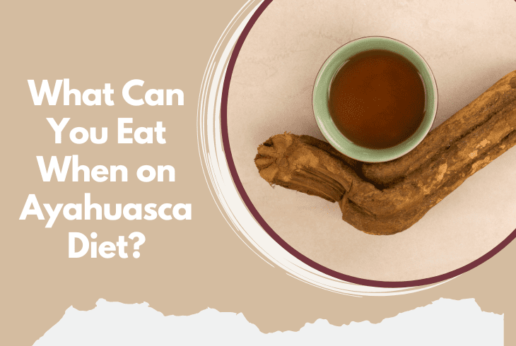 what to eat on ayahuasca diet