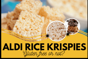 Are Aldi Rice Krispies Gluten Free Or Not? (Truth Revealed!)